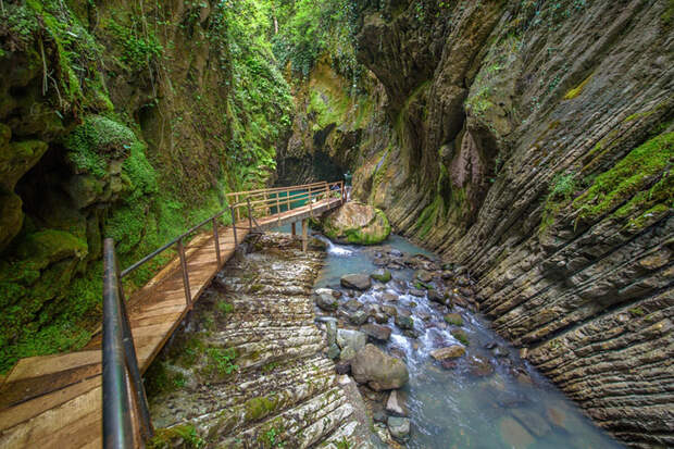 Фото: gossipsochi.ru