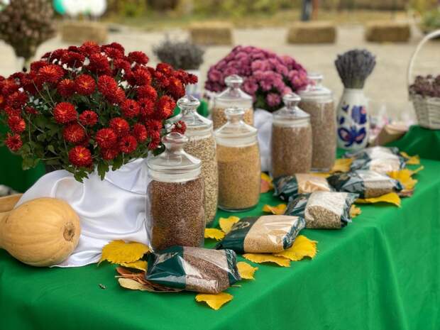 Крымские учёные получили грант на новую технологию выращивания расторопши