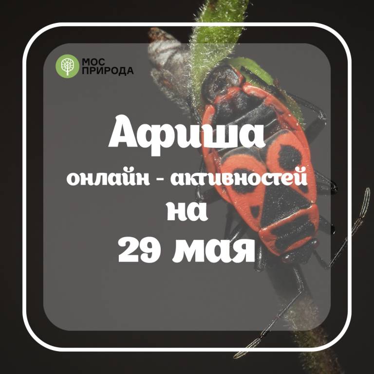 мосприрода обзор 2905.jpg