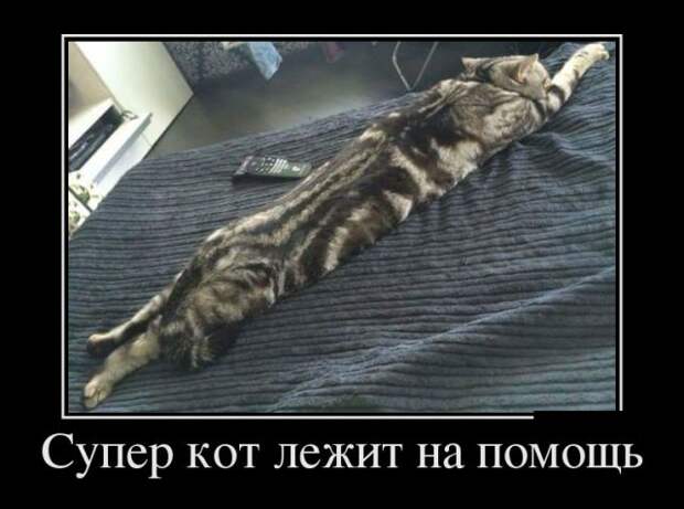 Демотиваторы - 993 Демотиваторы - 993