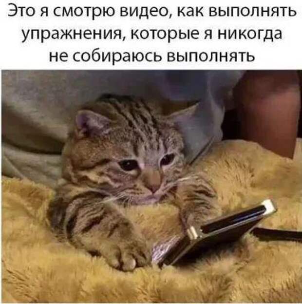 Подборка прикольных картинок