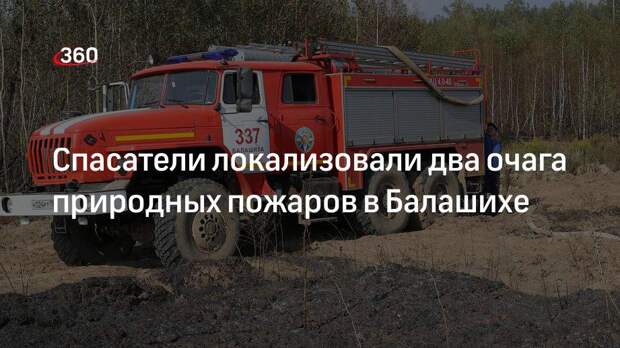 Спасатели локализовали два очага природных пожаров в Балашихе