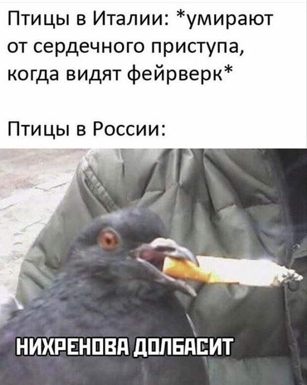 Свежие картинки с надписями на сегодняшний день (среда)