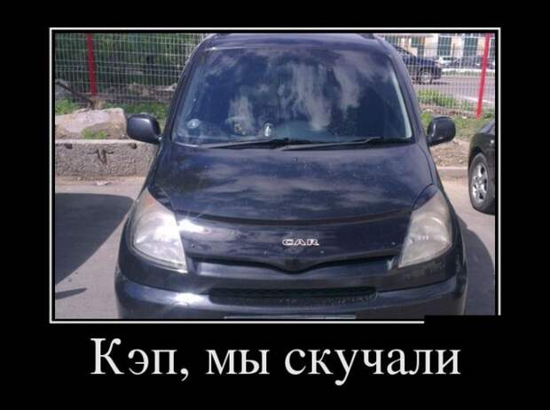 Демотиваторы (30 фото)