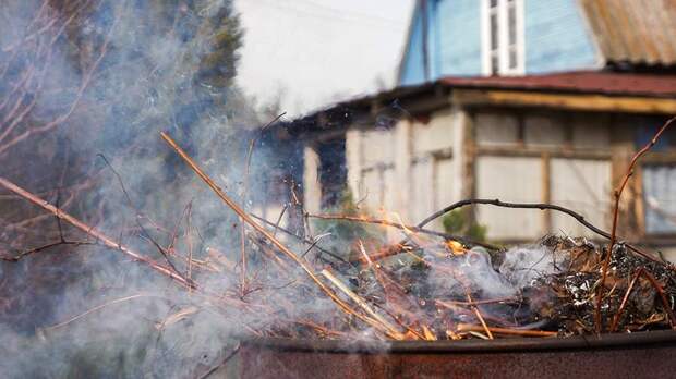 Юрист рассказала о штрафах за неправильное разведение костра на дачном участке