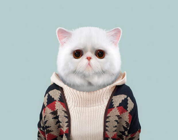 Переодетые в людей животные Yago Partal