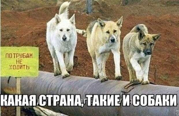 Всё в кучу 22