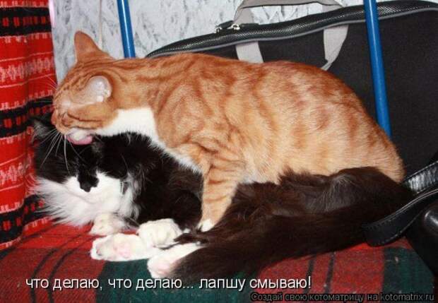 Мысли вслух :)
