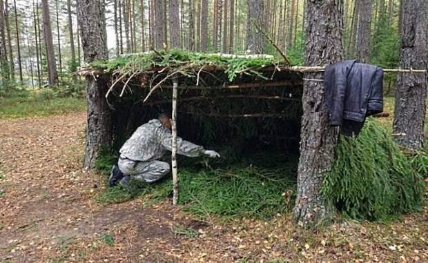 Выручай, дерево! Выручай, дерево!