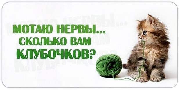 https://pp.vk.me/c7011/v7011946/eacd/0LQviuk8M90.jpg