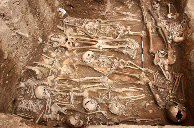 plaguegrave_2952f05b31a3ef88c65f0b12036eb24f.nbcnews-fp-1200-800 plaguegrave_2952f05b31a3ef88c65f0b12036eb24f.nbcnews-fp-1200-800