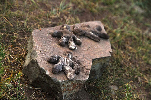 Монгольские шаманы
