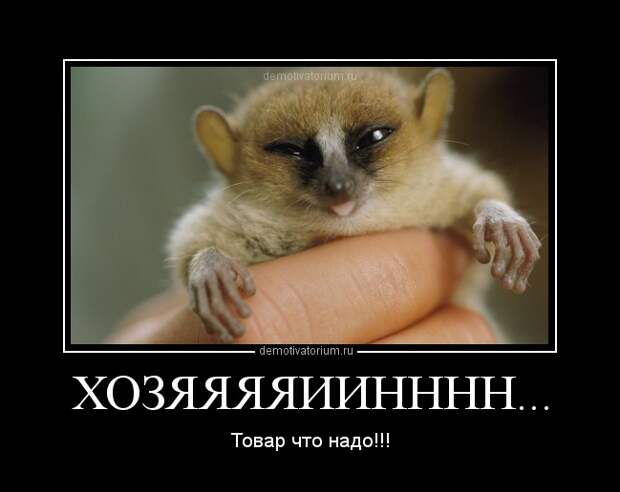 Похожее изображение