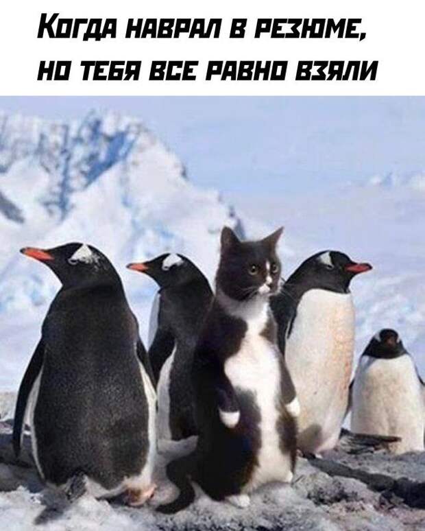 1592603796_lol-2.jpg