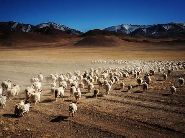 Лучшие фотографии National Geographic за сентябрь, 2013 Лучшие фотографии National Geographic за сентябрь, 2013