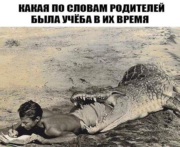 Позитивные картинки с надписями для хорошего настроения (12 фото) Позитивные картинки с надписями для хорошего настроения (12 фото)