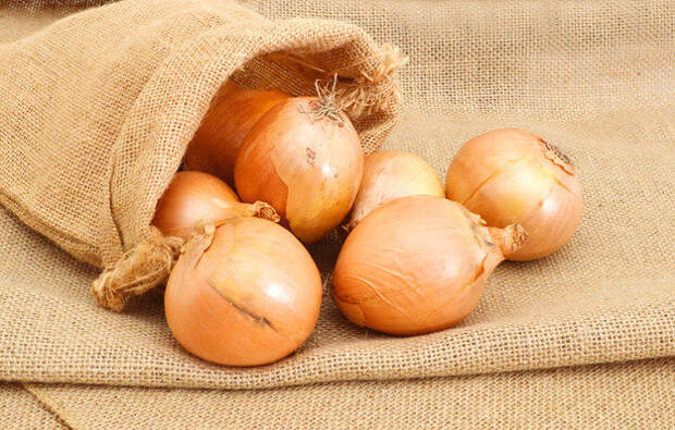 Источник: Shutterstock (www.shutterstock.com)