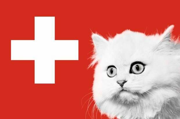 Швейцария: кот на завтрак