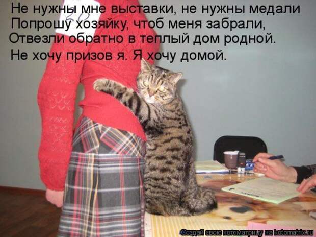 Мысли вслух :)