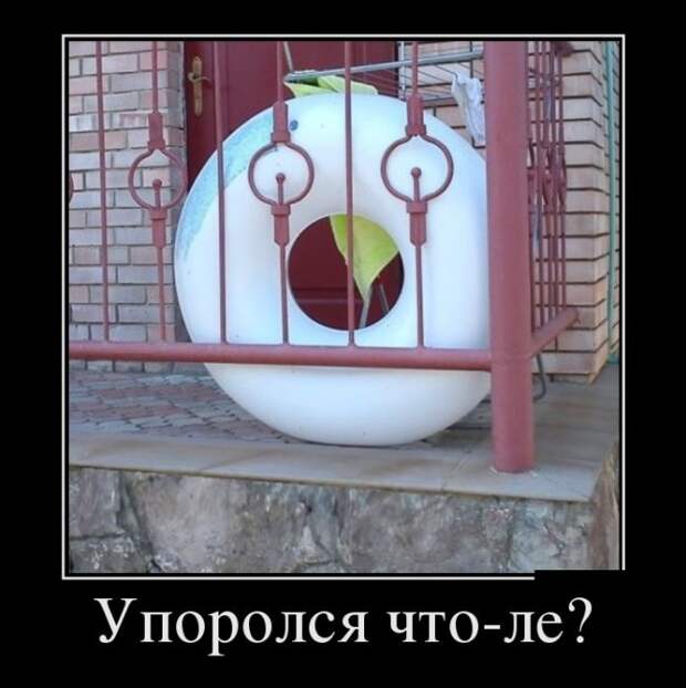 Демотиваторы