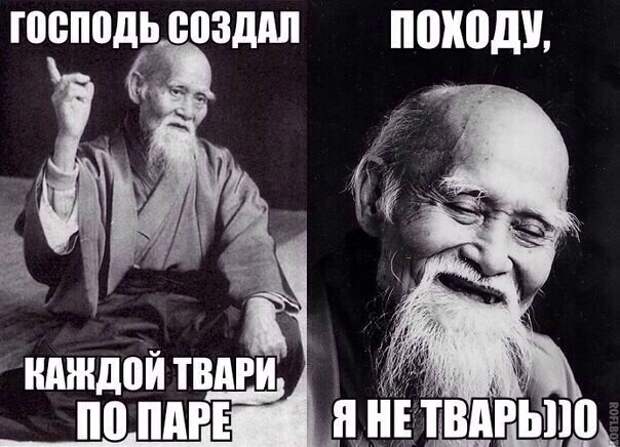 Смешные картинки с надписями прикол, юмор