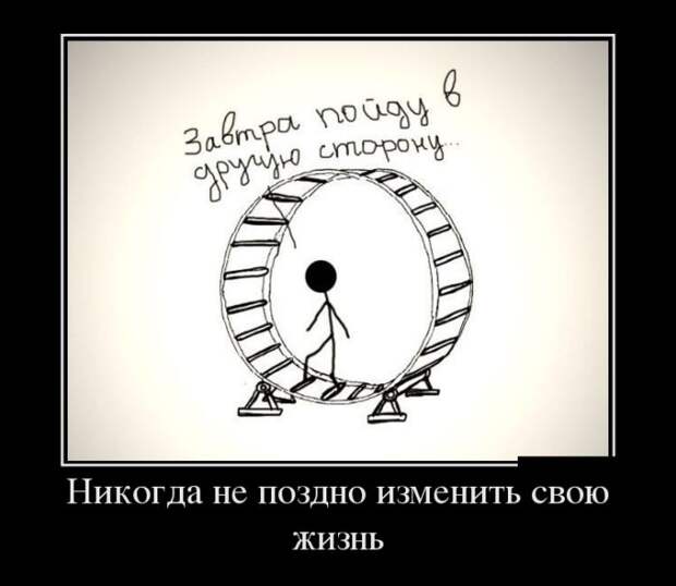 Демотиваторы (30 фото)