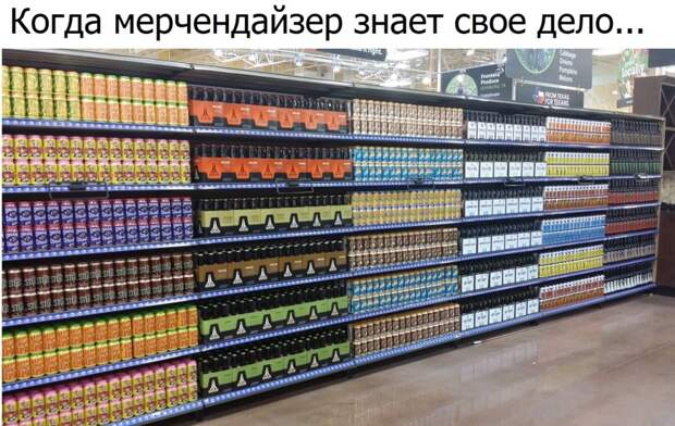 Порция настроения добрый день, картинки, мемы, смех, смешные