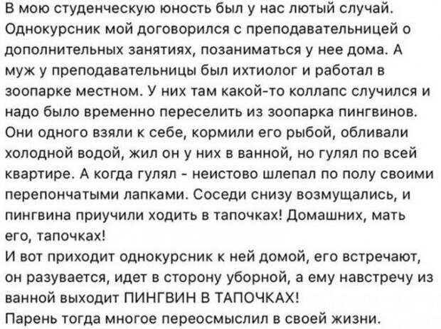 Юмор социальных сетей (26 скриншотов)