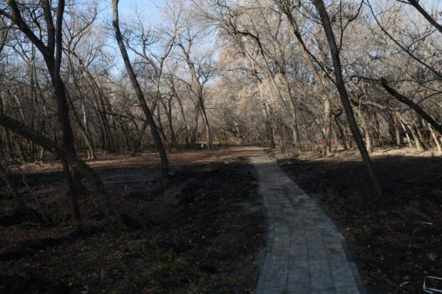 Бывший парк имени Ленина в Барнауле/ Фото: amic.ru