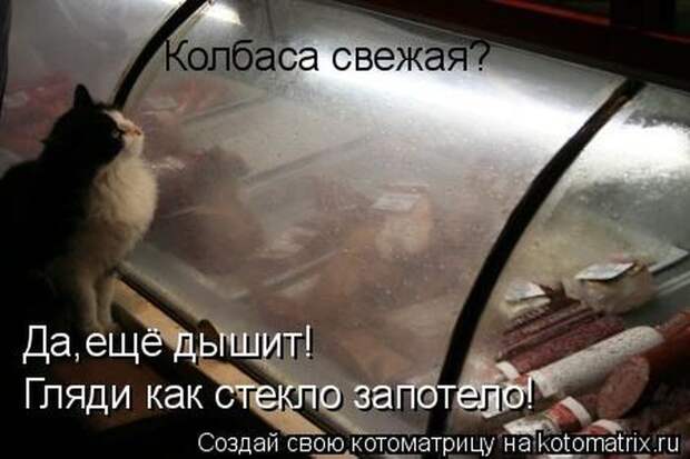 Мысли вслух :)