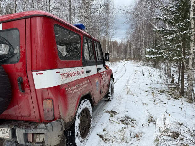 Волонтёры "ЛизаАлерт" рассказали о планах возобновить поиски Усольцевых
