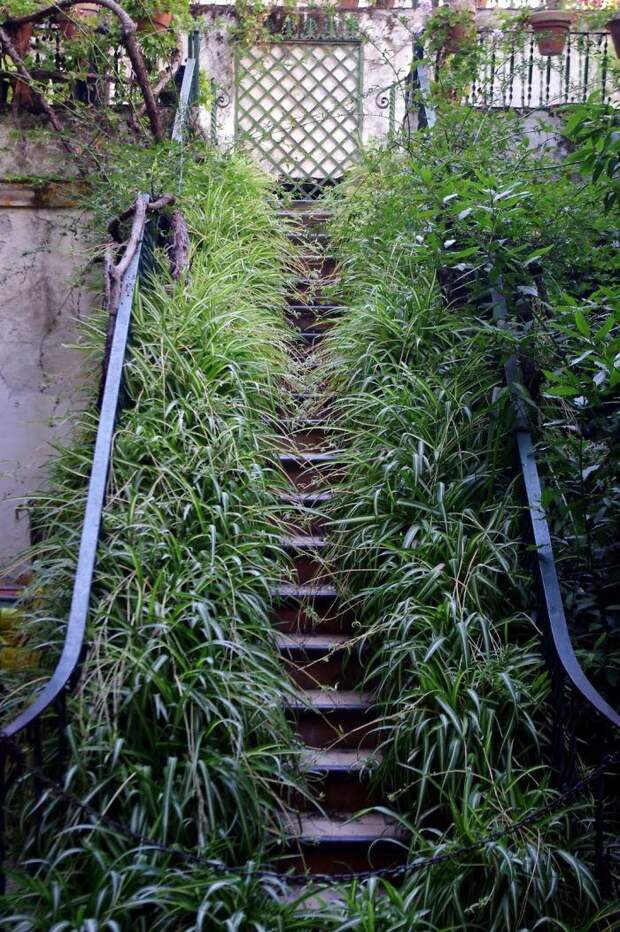 Stairs16 Самые красивые лестницы со всего мира