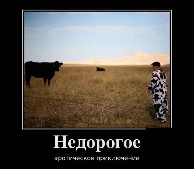 Демотиваторы (30 фото)