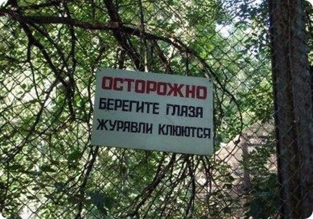 Заметки Капитана Очевидность на Novate.ru. | Фото: Конт. Заметки Капитана Очевидность на Novate.ru. | Фото: Конт.