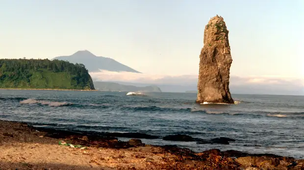 В Японии намерены продолжить диалог с Россией по Курилам