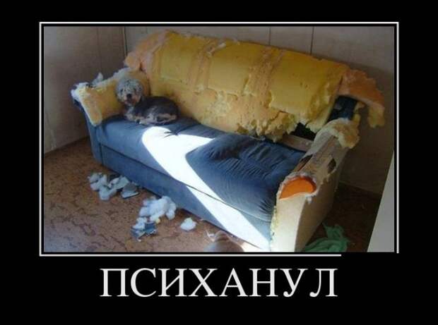 Демотиваторы