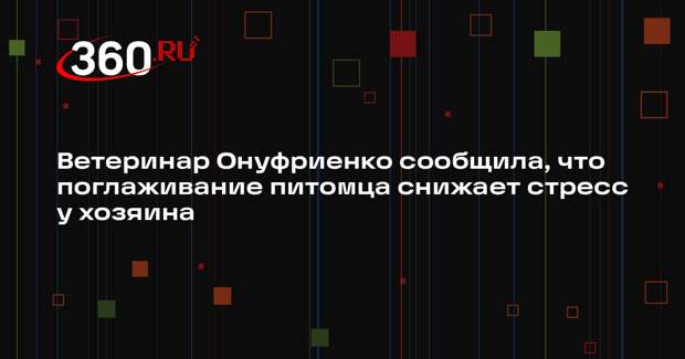 Ветеринар Онуфриенко сообщила, что поглаживание питомца снижает стресс у хозяина