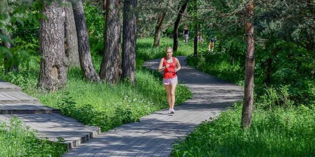 НМ 1 1 0607.jpg