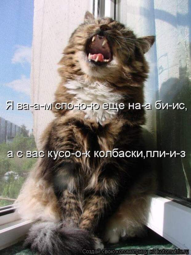Мысли вслух :)