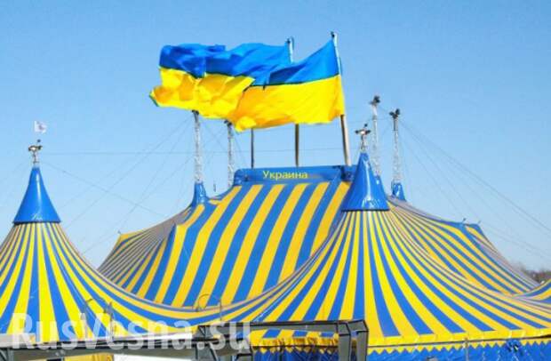 Сможет ли Украина превратить Международный суд ООН в цирк? | Русская весна