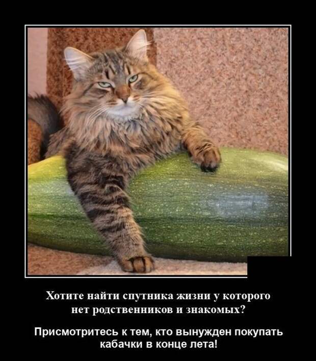 demotivatory-demotivator-smeshnye-demotivatory-demotivator-so-smyslom
