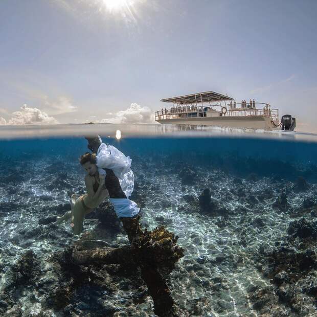 Захватывающие подводные снимки от Джейсона Вашингтона