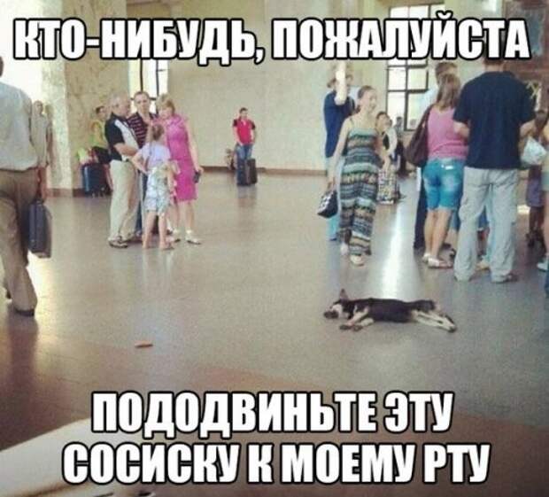 Новый сборник фотомемов (31 шт)