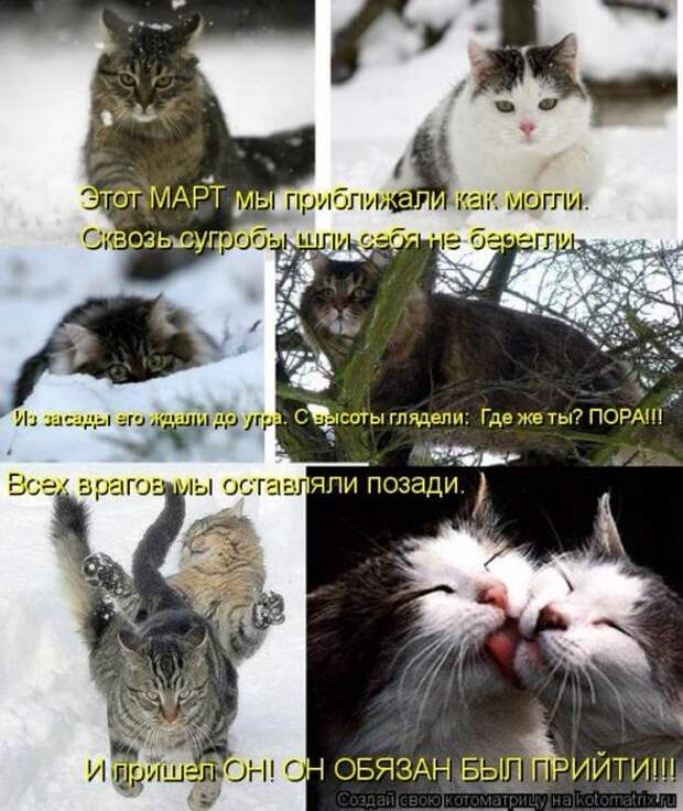 Мысли вслух :)