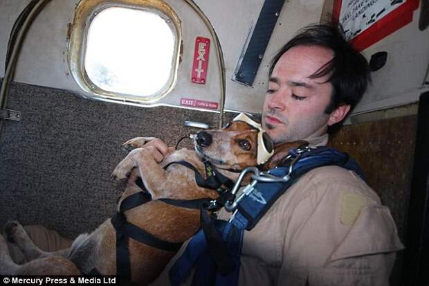 Nathan, and his partner, Amy Yopp, adopted Riley as a puppy from a local shelter and took him to the drop zone of the skydive site for walks, where he became a firm favourite among the skydive team