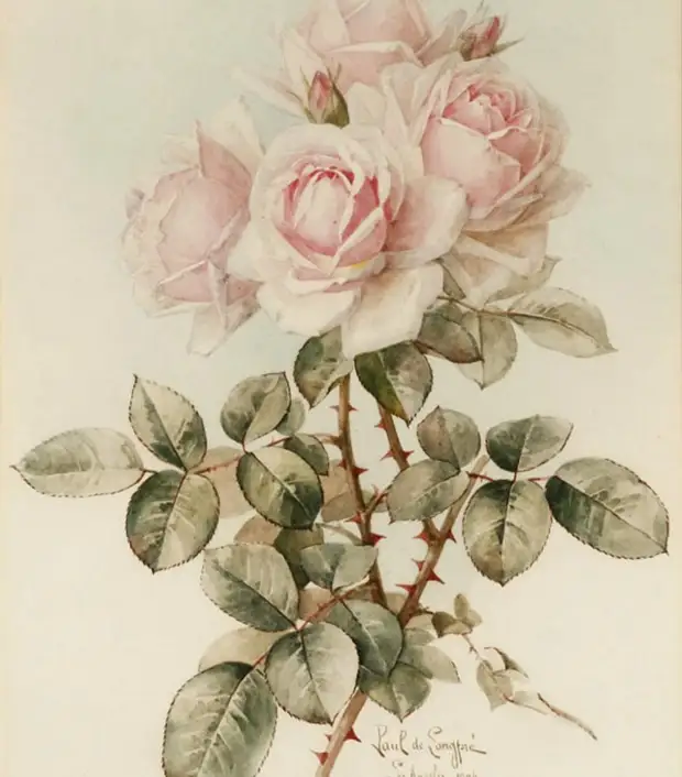 Paul de longpre (1855-1911)  .