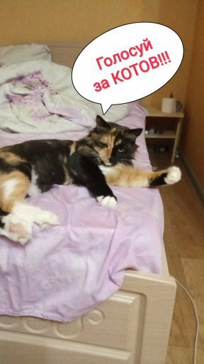 Может быть у нее есть и такие мысли! А что, мир был бы гораздо пушистее и спокойнее!