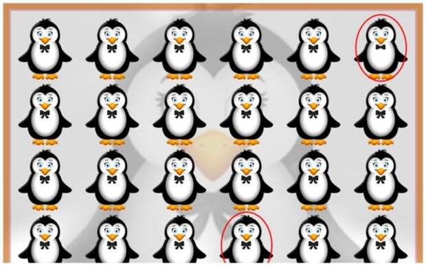 Тест на внимательность: найдите за 30 секунд чем на картинке отличаются 2 симпатичных пингвина от других