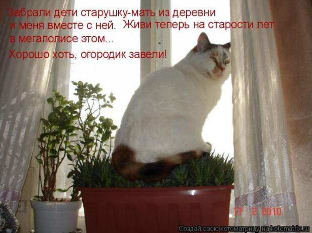 Мысли вслух :)