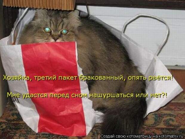 Новая котоматрица (44 шт)